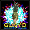Elvis Crespo & Ilegales - Guayo - Single